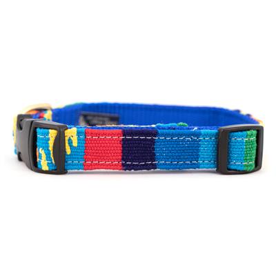 Fiesta Collars, Leashes, & Martingale Collars - Pet Rinse Repeat Store