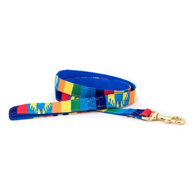 Fiesta Collars, Leashes, & Martingale Collars - Pet Rinse Repeat Store