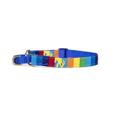 Fiesta Collars, Leashes, & Martingale Collars - Pet Rinse Repeat Store