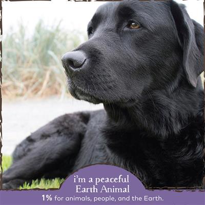 Earth Animal Dog No More Runs 2oz - Organic Herbal Blend for Digestive Relief - Pet Rinse Repeat Store