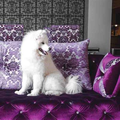 Luxury Care Moisturizing Conditioner by Hydra - Pet Rinse Repeat Store