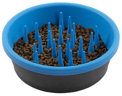 Dexas Slow Feeder