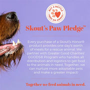 Skout's Honor Flea+Tick Shampoo (16oz)