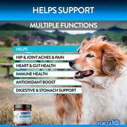 Forza10 Multifunction Supplement Chews - Pet Rinse Repeat Store