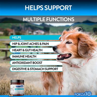 Forza10 Multifunction Supplement Chews - Pet Rinse Repeat Store