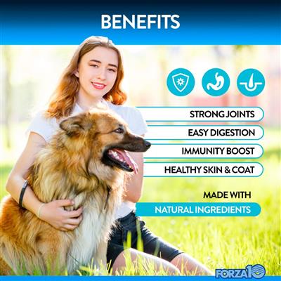 Forza10 Multifunction Supplement Chews - Pet Rinse Repeat Store
