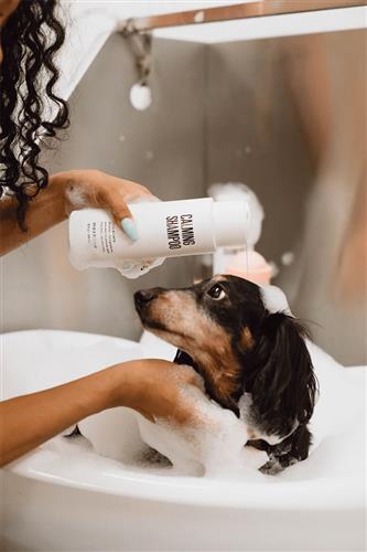 Calming Shampoo - Pet Rinse Repeat Store
