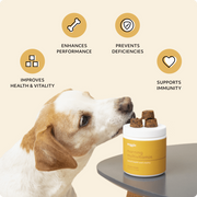 Multivitamin Soft Chews For Dogs - Vitality Supplement Zinc