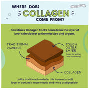 Pawstruck All Natural 5-6" Roasted Collagen Sticks for Dogs - Low Odor & Long Lasting Alternative to Bully Sticks and Rawhide Chews - Single Ingredient & Vet Approved - 10 Pack - Packaging May Vary
