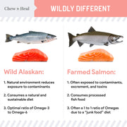 Chew + Heal Single-Ingredient Wild Alaskan Salmon Oil