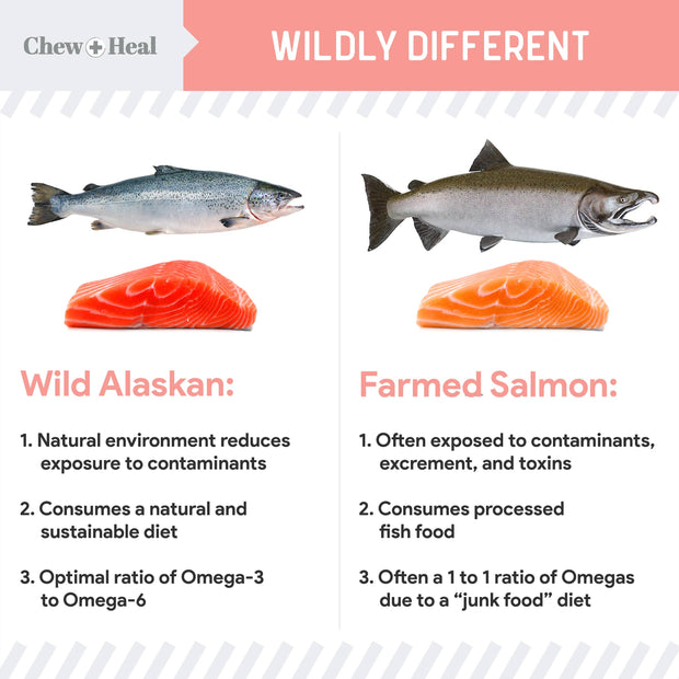 Chew + Heal Single-Ingredient Wild Alaskan Salmon Oil