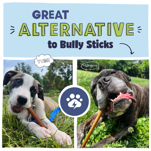 Pawstruck All Natural 5-6" Roasted Collagen Sticks for Dogs - Low Odor & Long Lasting Alternative to Bully Sticks and Rawhide Chews - Single Ingredient & Vet Approved - 10 Pack - Packaging May Vary