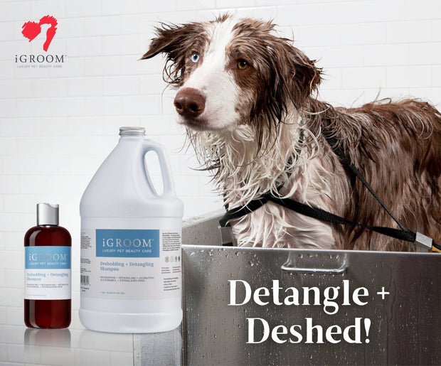 Deshedding + Detangling Shampoo 16oz