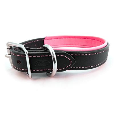 Padded Leather Collars - Pet Rinse Repeat Store