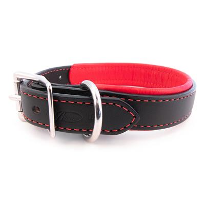 Padded Leather Collars - Pet Rinse Repeat Store