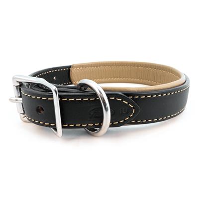Padded Leather Collars - Pet Rinse Repeat Store