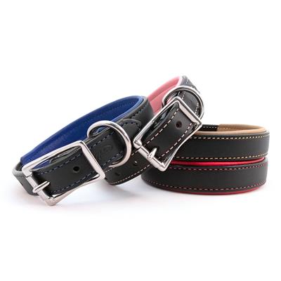 Padded Leather Collars - Pet Rinse Repeat Store