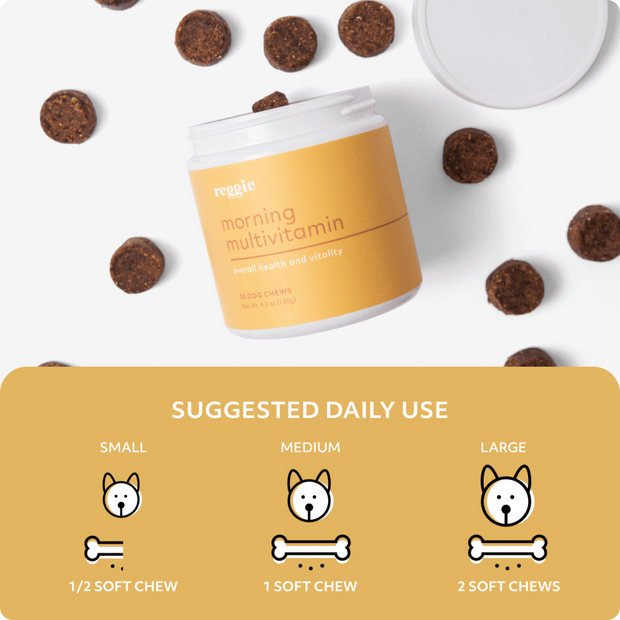 Multivitamin Soft Chews For Dogs - Vitality Supplement Zinc
