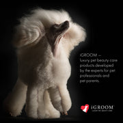 Oh, So Gentle Shampoo (Fragrance-Free) 16oz