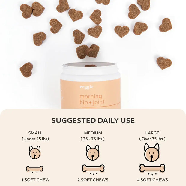 Hip & Joint Soft Chews For Dogs - Mobility Supplement MSM
