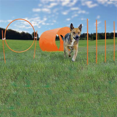 Zip & Zoom Outdoor Agility Kit