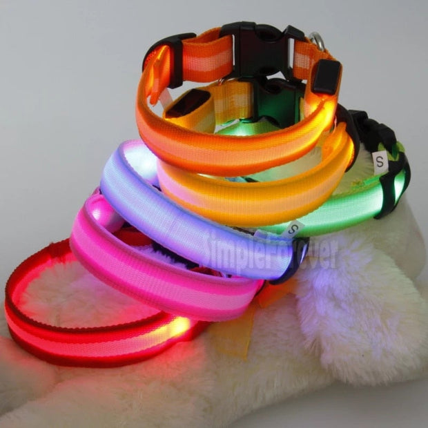 Pet Dog LED Glowing Luminous Night Safety Collar - Pet Rinse Repeat Store