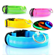 Pet Dog LED Glowing Luminous Night Safety Collar - Pet Rinse Repeat Store