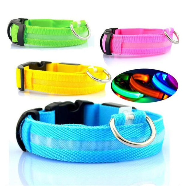 Pet Dog LED Glowing Luminous Night Safety Collar - Pet Rinse Repeat Store