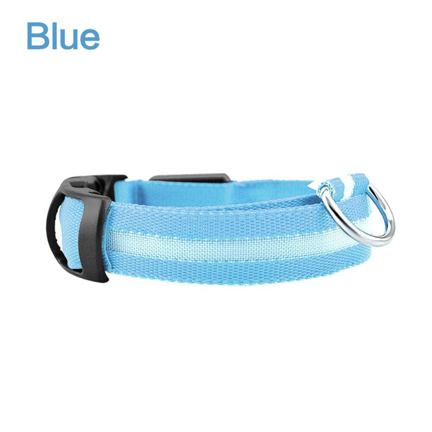 Pet Dog LED Glowing Luminous Night Safety Collar - Pet Rinse Repeat Store
