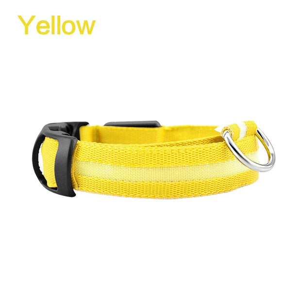Pet Dog LED Glowing Luminous Night Safety Collar - Pet Rinse Repeat Store