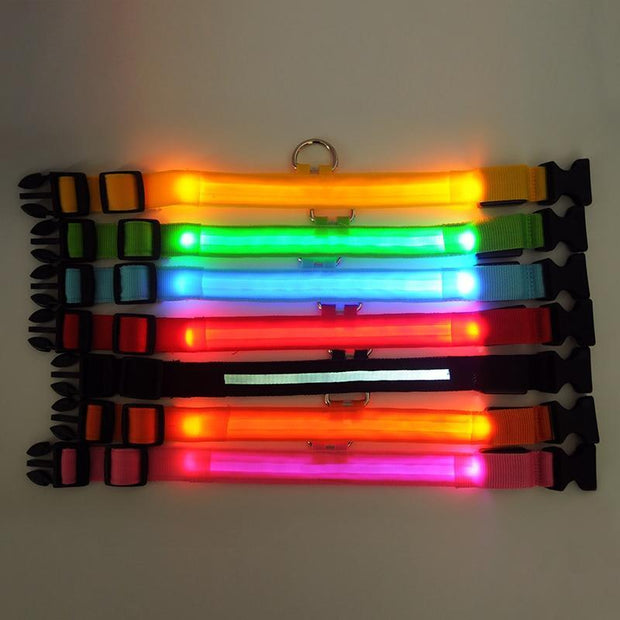 Pet Dog LED Glowing Luminous Night Safety Collar - Pet Rinse Repeat Store