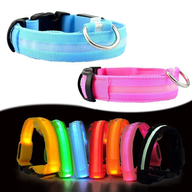 Pet Dog LED Glowing Luminous Night Safety Collar - Pet Rinse Repeat Store