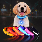 Pet Dog LED Glowing Luminous Night Safety Collar - Pet Rinse Repeat Store