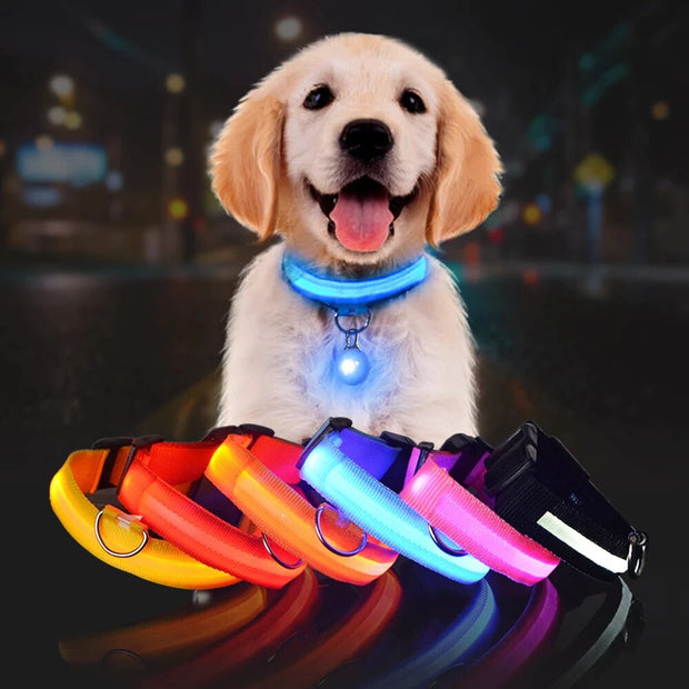 Pet Dog LED Glowing Luminous Night Safety Collar - Pet Rinse Repeat Store