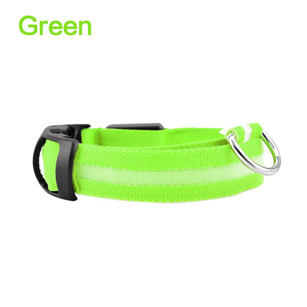 Pet Dog LED Glowing Luminous Night Safety Collar - Pet Rinse Repeat Store