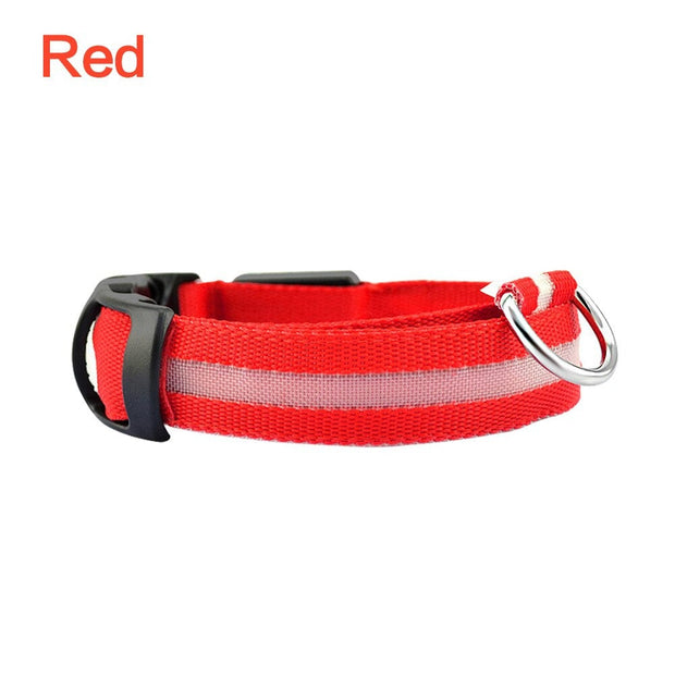 Pet Dog LED Glowing Luminous Night Safety Collar - Pet Rinse Repeat Store
